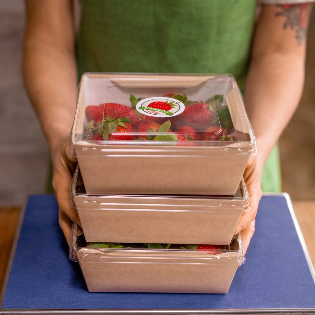 food containers food containers